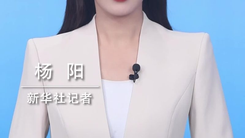 互联网技术解决方案供应商优劣势解析：深度剖析行业现状